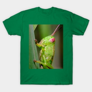 Green Grasshopper Macro Photograph T-Shirt